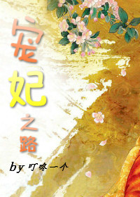 小说：宠妃之路，作者：叮咚一个
