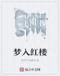 小说：梦入红楼，作者：桃李不谙春风
