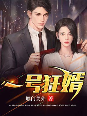 小说：一号狂婿，作者：雁门关外