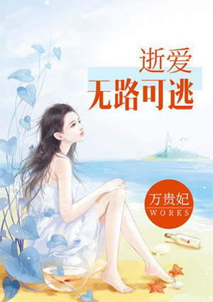 小说：逝爱无路可逃，作者：万贵妃