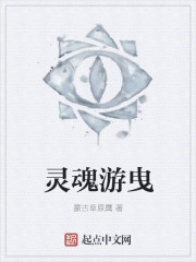 小说：灵魂游曳，作者：蒙古草原鹰