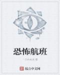 小说：恐怖航班，作者：一只布老虎