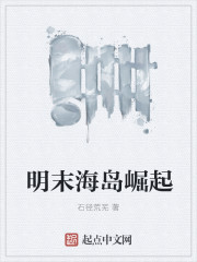小说：明末海岛崛起，作者：石径荒芜
