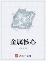 小说：金属核心，作者：坦伯恩
