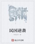 小说：民国逆袭，作者：铜钱道人