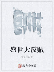 小说：盛世大反贼，作者：摇头晃巫