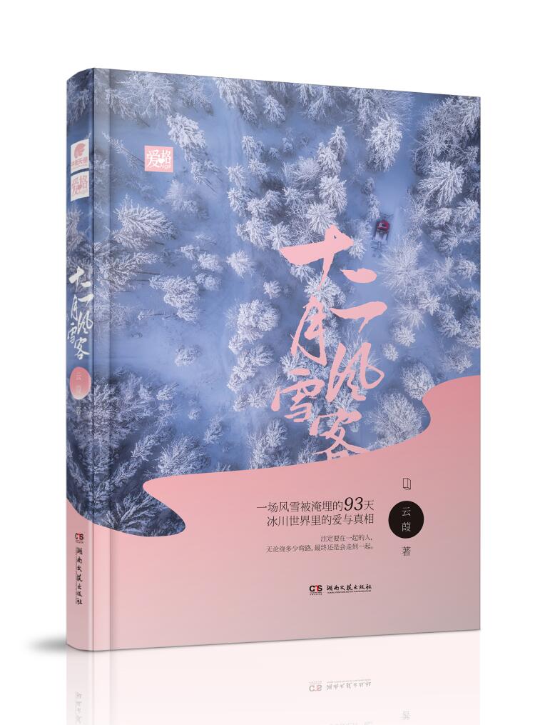 小说：十二月风雪客，作者：云葭