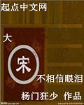 小说：大宋不相信眼泪，作者：杨门狂少