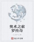 小说：奥术之索罗传奇，作者：山上妖下山