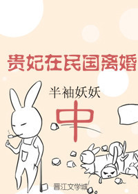 小说：贵妃在民国离婚中，作者：半袖妖妖