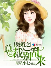 小说：契婚之总裁别乱来，作者：星坠小七