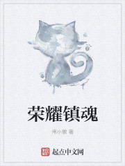 小说：荣耀镇魂，作者：南小傲