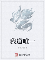 小说：我道唯一，作者：善断灵狐