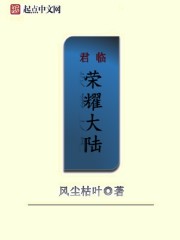 小说：君临荣耀大陆，作者：风尘枯叶