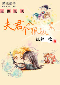 凤撩九天:夫君个个狠腹黑