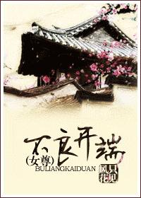 小说：不良开端（女尊），作者：只见风花