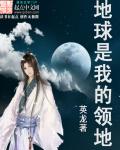 小说：地球是我的领地，作者：英龙