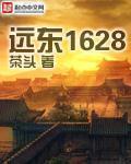 小说：远东1628，作者：茶头