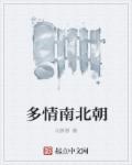 小说：多情南北朝，作者：沁新新