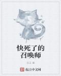 小说：快死了的召唤师，作者：卦吉