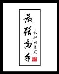 小说：最强，高手，作者：毛猫好基友