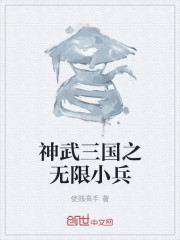 小说：神武三国之无限小兵，作者：使贱高手