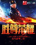 小说：胜尊荣耀，作者：未见流星