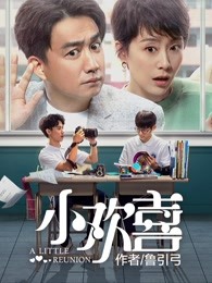 小说：小欢喜，作者：鲁引弓