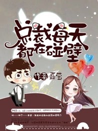 小说：总裁每天都在碰壁，作者：嘉莹