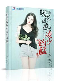 小说：暖宠成瘾之凌少凶猛，作者：寒灯依旧