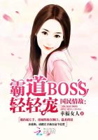 小说：国民情敌：霸道BOSS，轻轻宠，作者：幸福女人