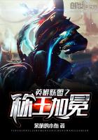 小说：英雄联盟之称王加冕，作者：呆萌的小布