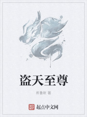 小说：盗天至尊，作者：库鲁斯