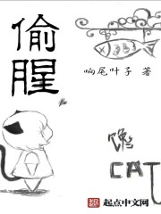 小说：嗜凡，作者：响尾叶子