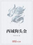 小说：西域狗头金，作者：雨到功成