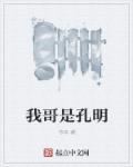 小说：我哥是孔明，作者：书卒