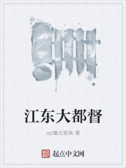 小说：江东大都督，作者：qd童氏家族
