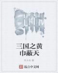 小说：三国之黄巾蔽天，作者：李大也