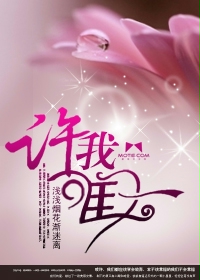 小说：许我唯一，作者：浅浅烟花渐迷离