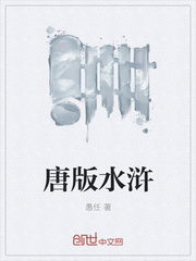 小说：唐版水浒，作者：愚任