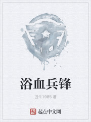 小说：浴血兵锋，作者：丑牛1985