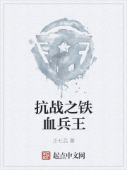 小说：抗战之铁血兵王，作者：正七品