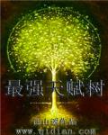 小说：最强天赋树，作者：西山谣