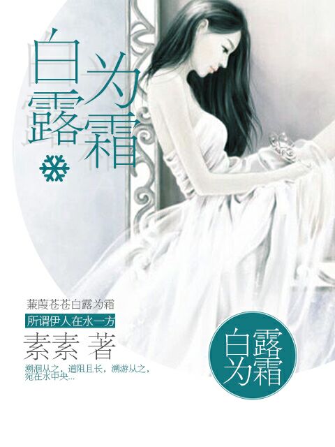 小说：白露为霜，作者：素素