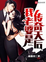 小说：我老婆是传奇天后，作者：南国月三更