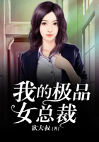 小说：我的极品女总裁，作者：欲大叔