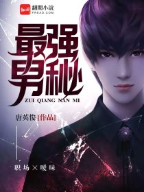 小说：最强男秘，作者：唐英俊