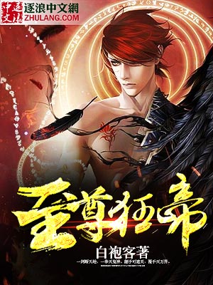 小说：至尊狂帝，作者：白袍客