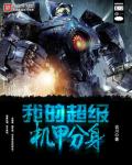 小说：我的超级机甲分身，作者：议川
