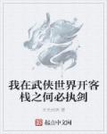 小说：我在武侠世界开客栈之何必执剑，作者：天光地阴